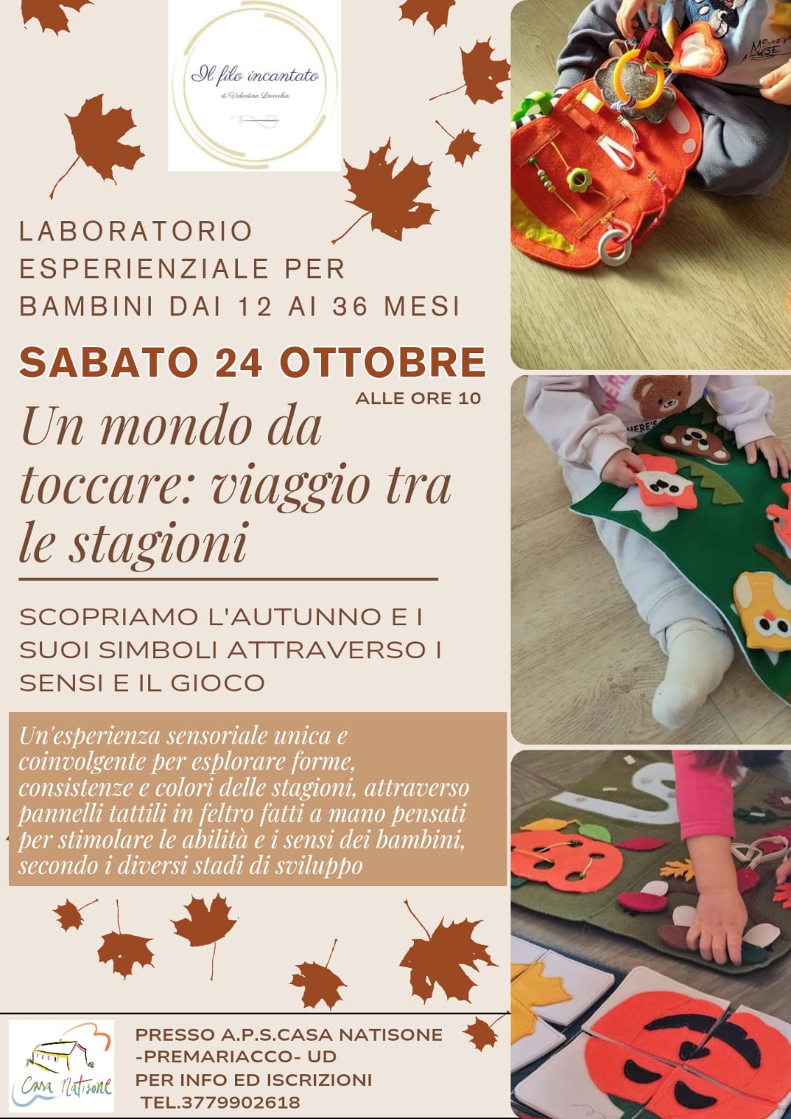 Un mondo da toccare: viaggio tra le stagioni. Autunno.
